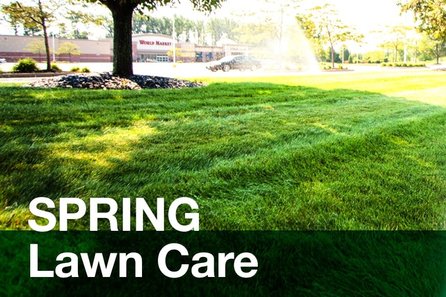 What’s That?! Addressing Spring Issues in Your Northeast Ohio Lawn